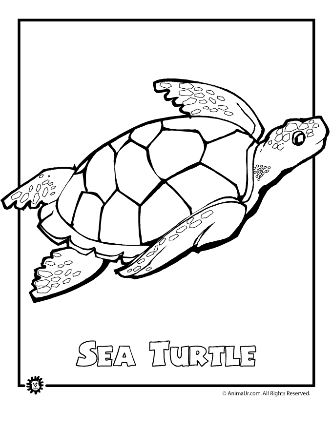 Sea Turtle Endangered Animal Coloring Page - Woo! Jr. Kids Activities