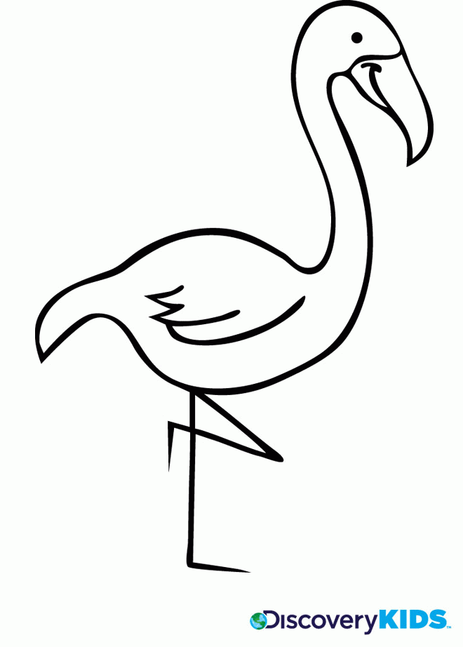 Best Photos of Flamingo Coloring Pages - Printable Flamingo ...