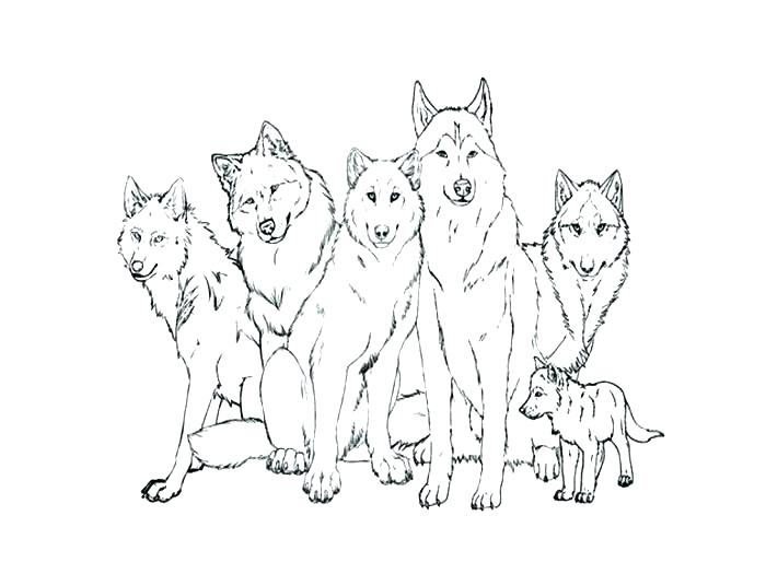 Wolf Cubs Wolf Pictures To Color | debbiedoosbloggingandblabbing
