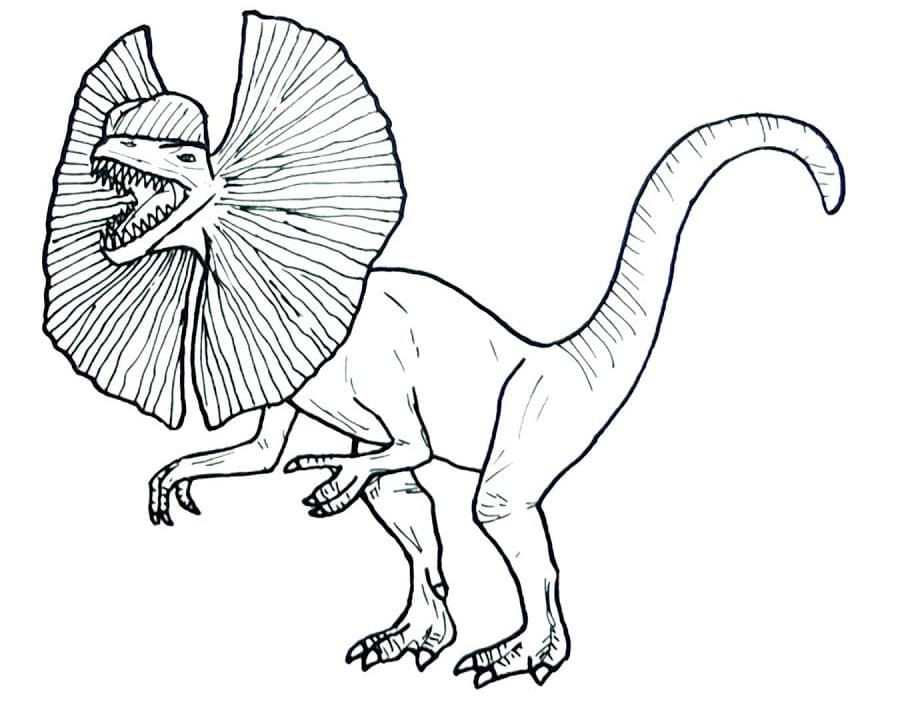 Printable Dilophosaurus Coloring Page - Free Printable Coloring Pages for  Kids