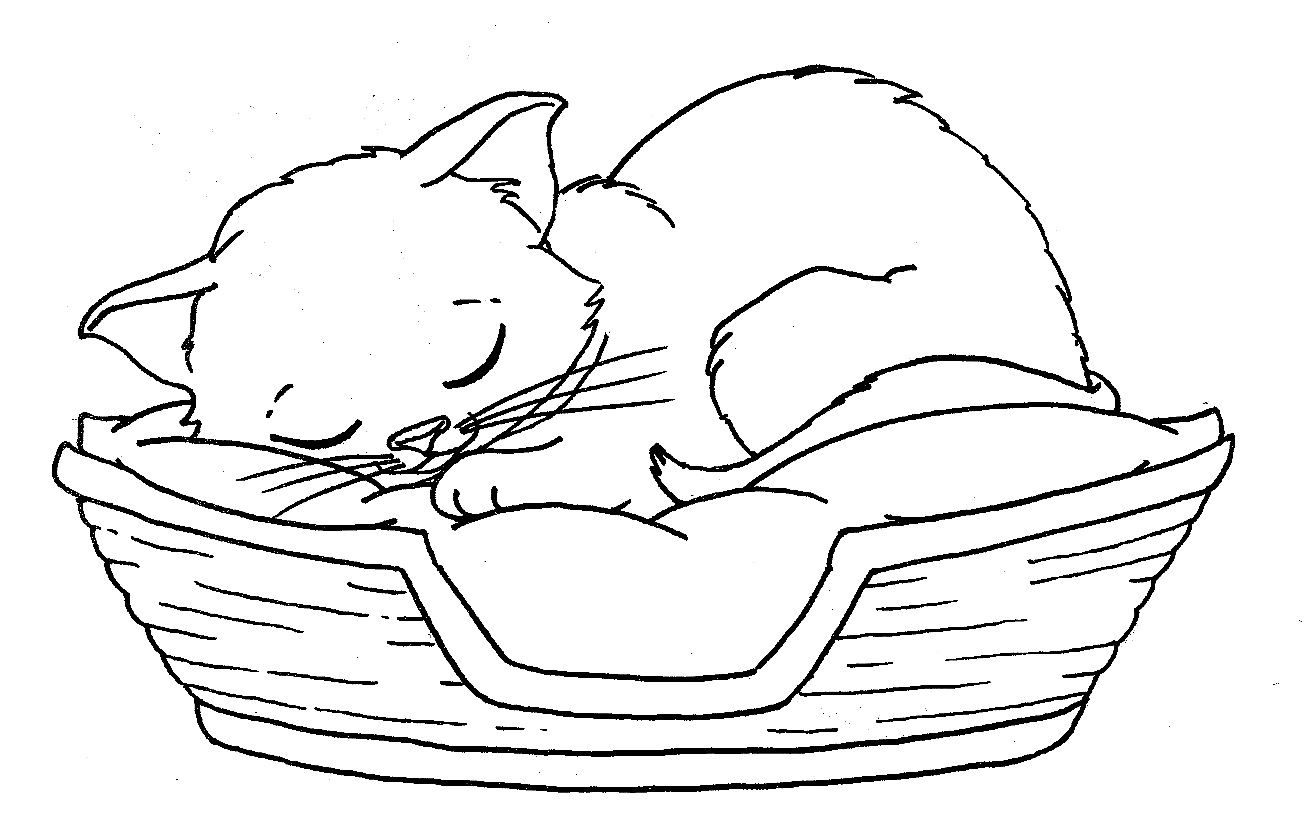 Cute Kittens Coloring Pages   Coloring Home