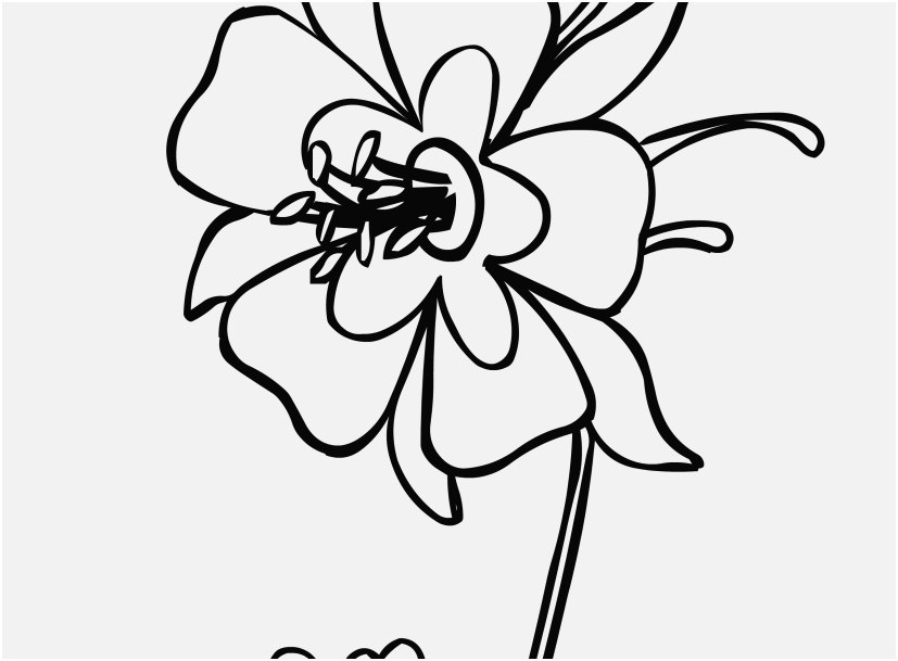 Flower Coloring Pages Pdf Pic Colorado Kids Coloring Pages State ...