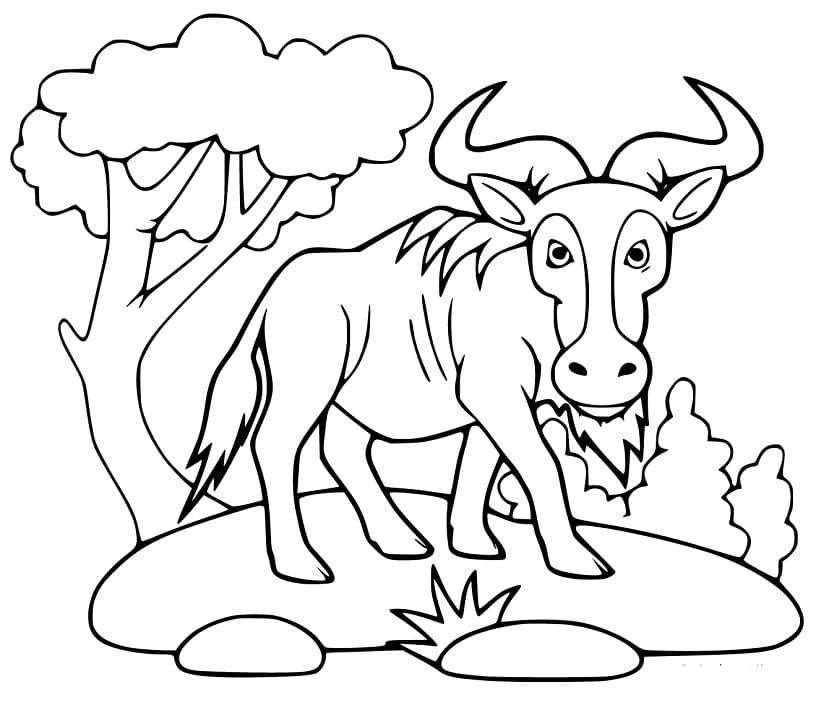 Wildebeest in the Wild Coloring Page - Free Printable Coloring Pages for  Kids