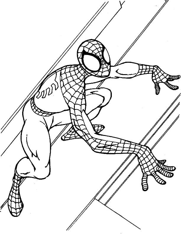 Spiderman is Climbing Coloring Page - Free Printable Coloring Pages for Kids