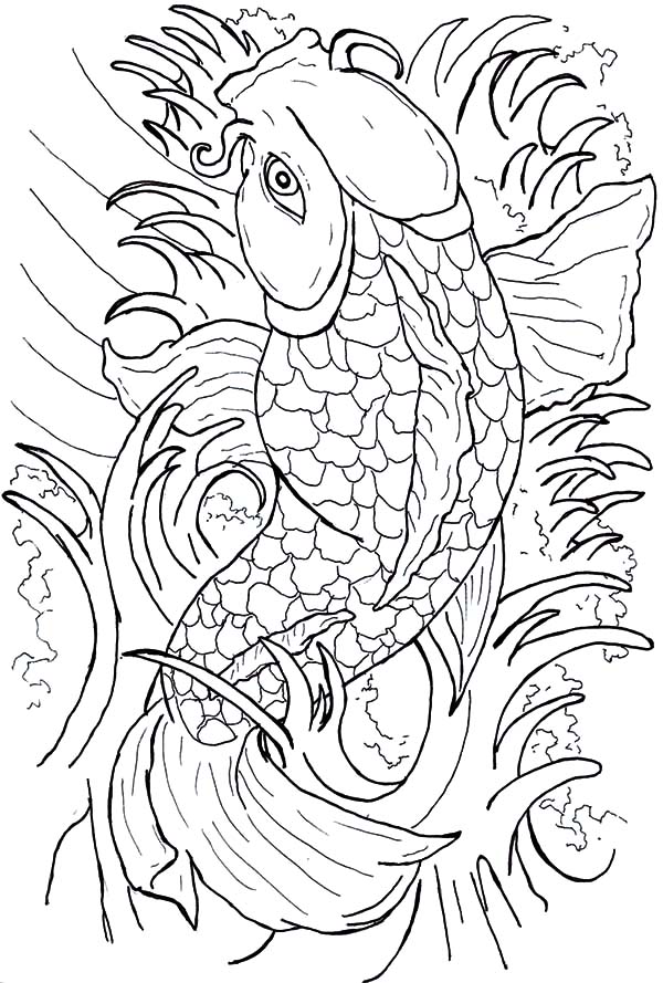 Beautiful Japanese Coy Fish Coloring Pages | Kids Play Color