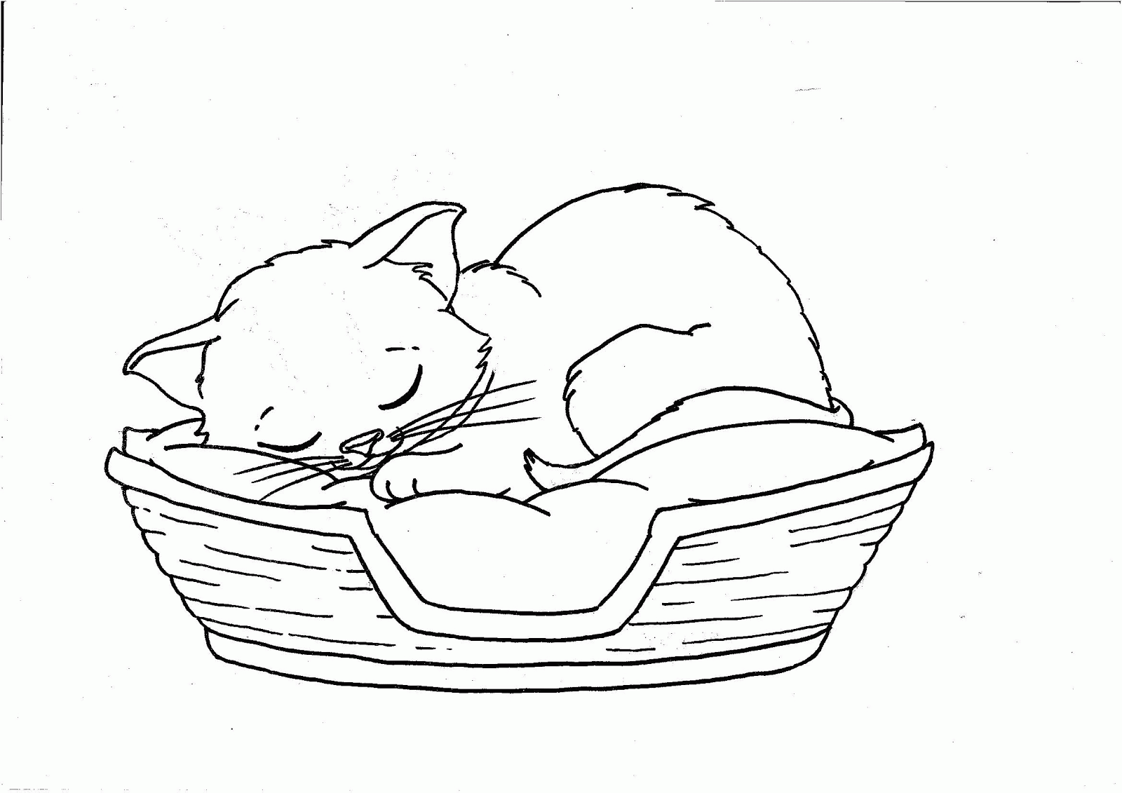 Kitten Coloring Pages Printable - Colorine.net | #18127