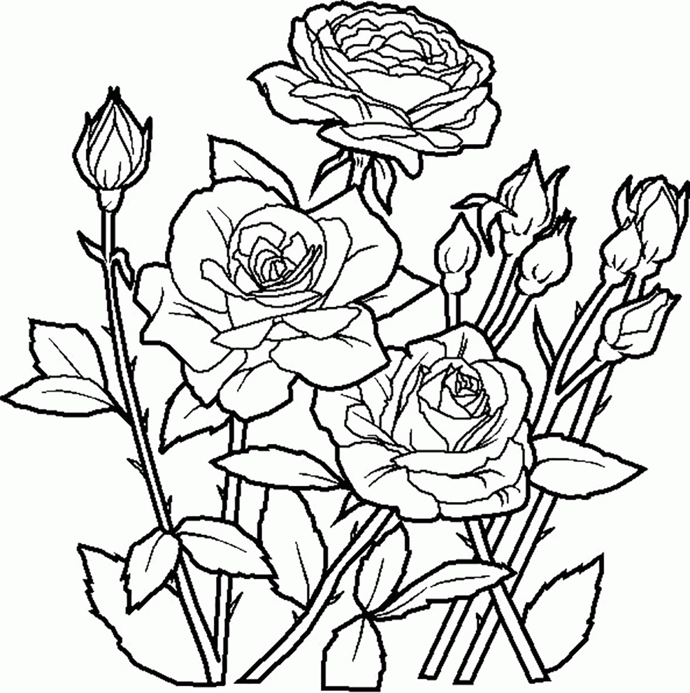 Beautiful Flowers In The Morning Coloring Pages For Kids #no ...