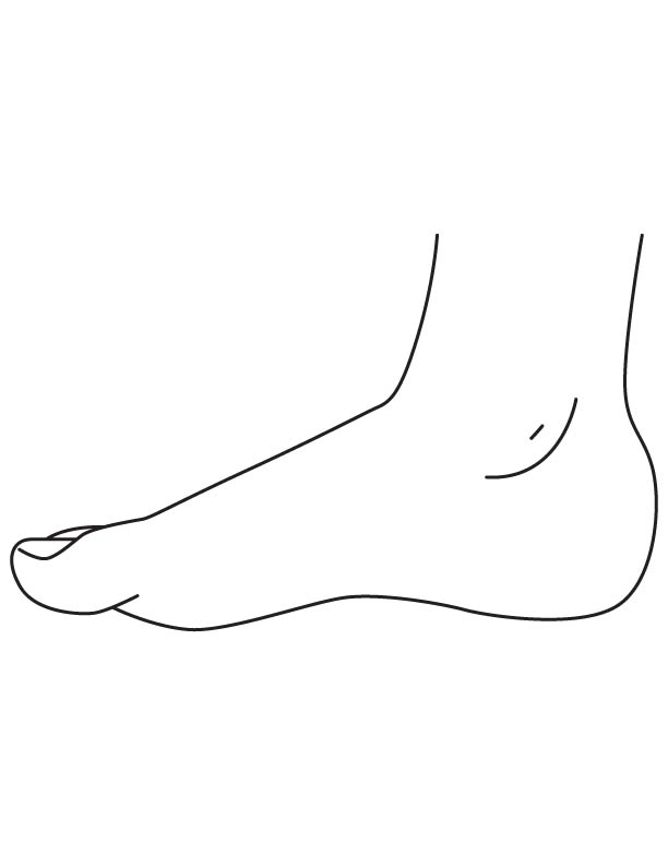 Ankle body parts coloring page | Download Free Ankle body parts ...