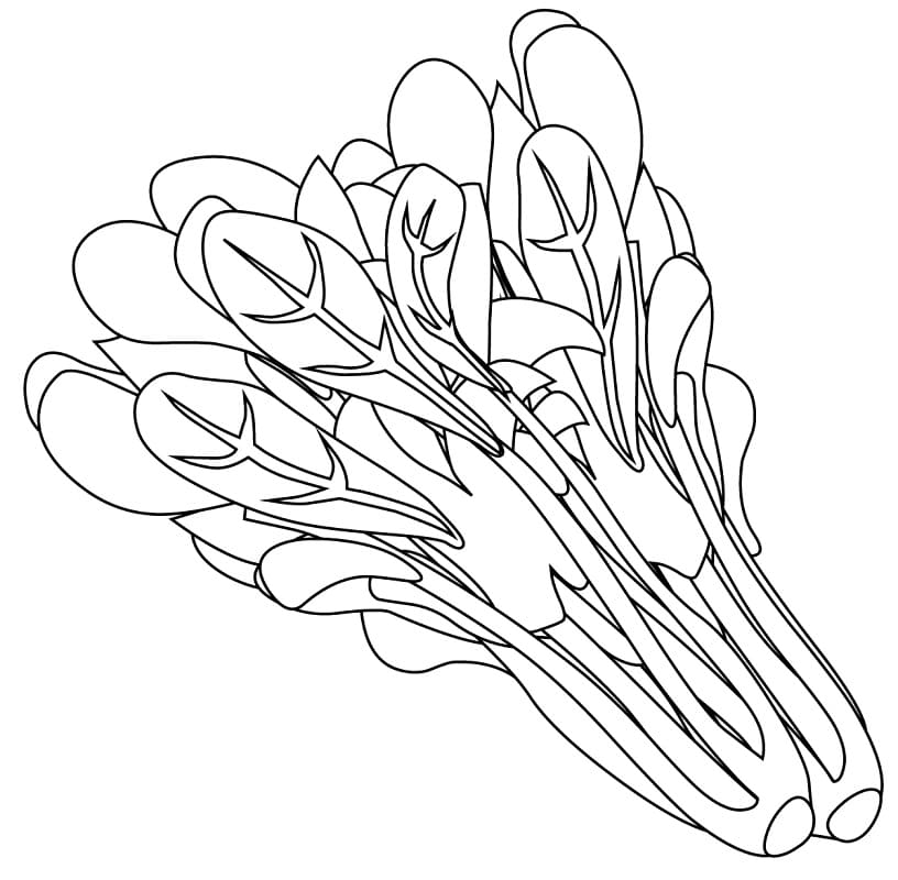 Spinach Printable Coloring Page - Free Printable Coloring Pages for Kids