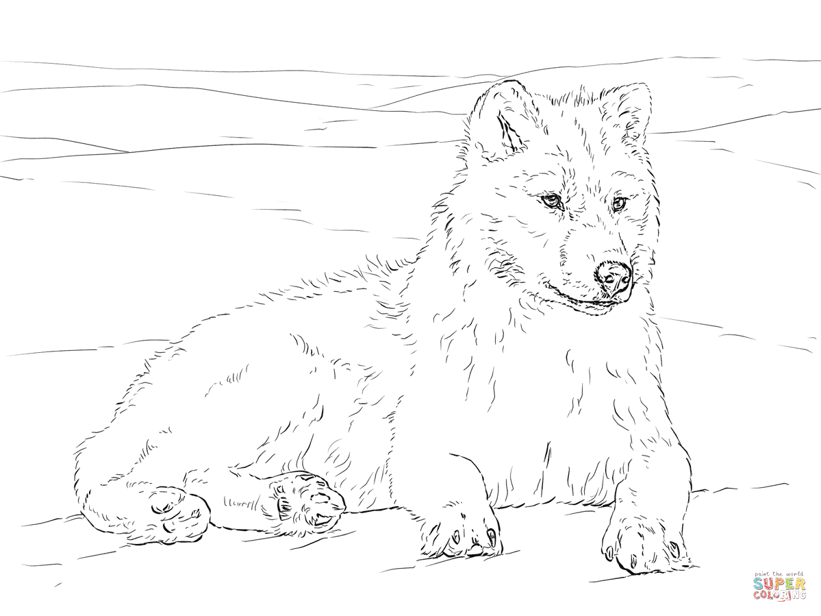 Arctic Wolf coloring page | Free Printable Coloring Pages | Dog coloring  page, Wolf colors, Puppy coloring pages