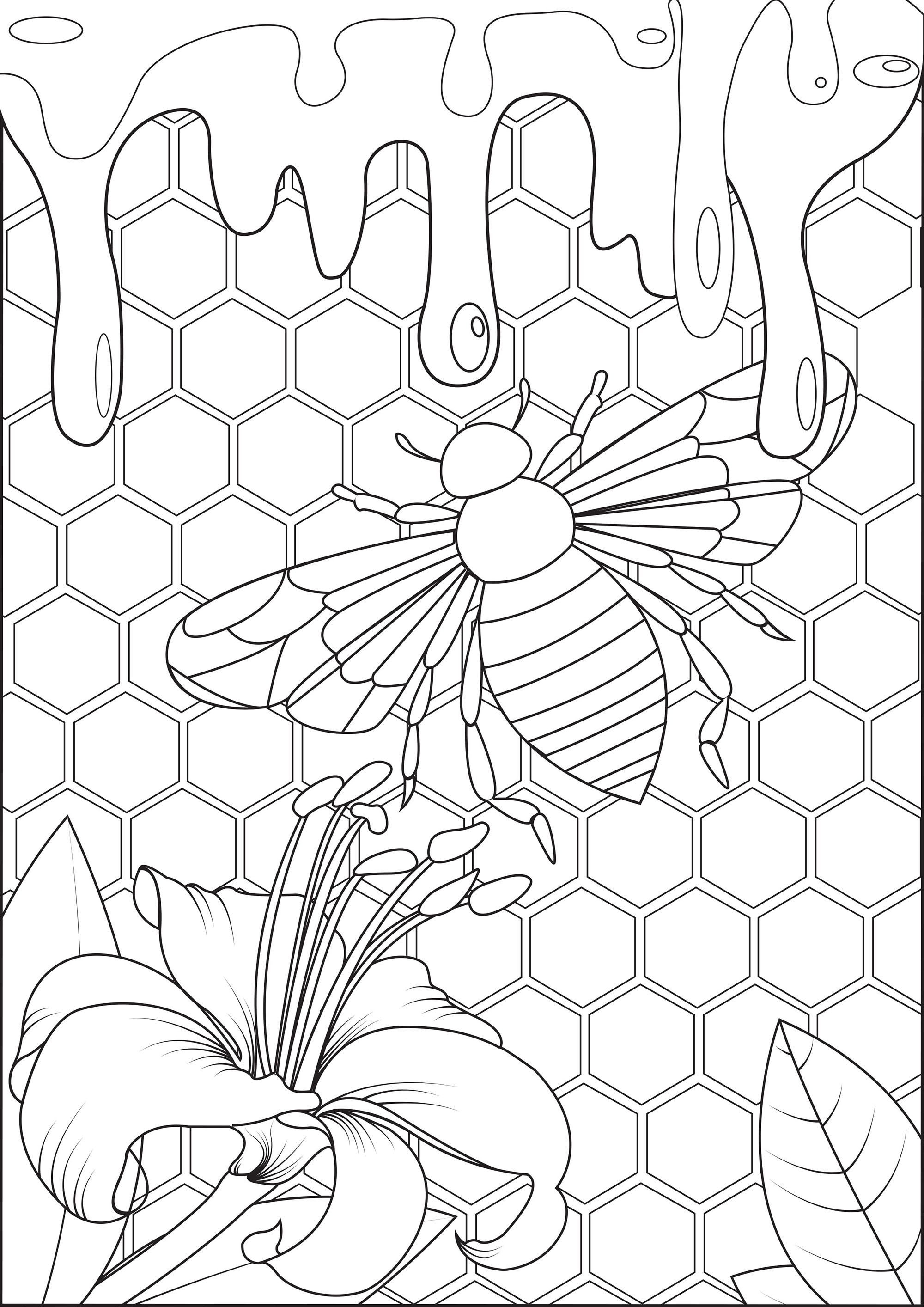 Bee and honey - Butterflies & insects Adult Coloring Pages