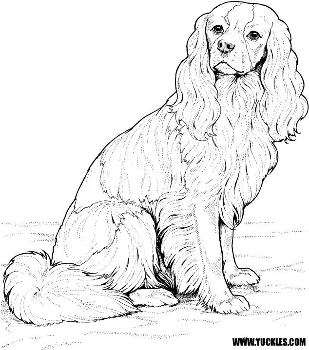 Dog Coloring Pages by YUCKLES!