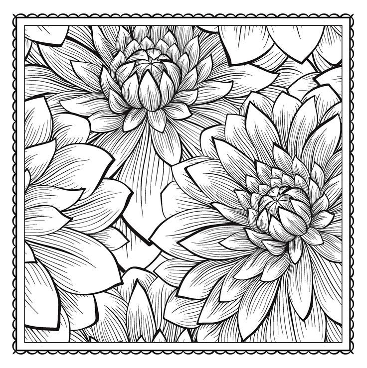 my | Adult Coloring, Adult ...
