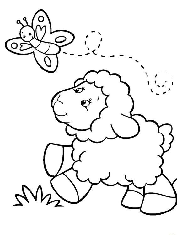 Baby Sheep Chasing Butterfly Coloring Pages - Sheep Coloring Pages ...
