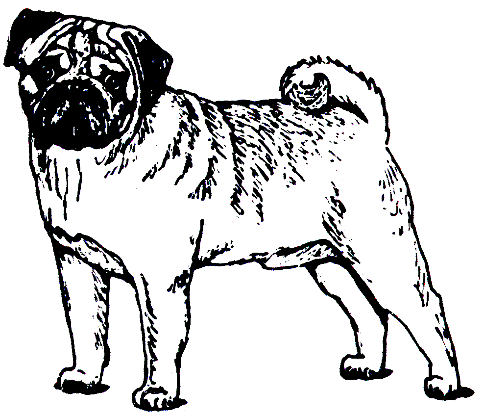Pug Puppy Coloring Pages Free Christmas Pug Coloring Pages. Kids ...