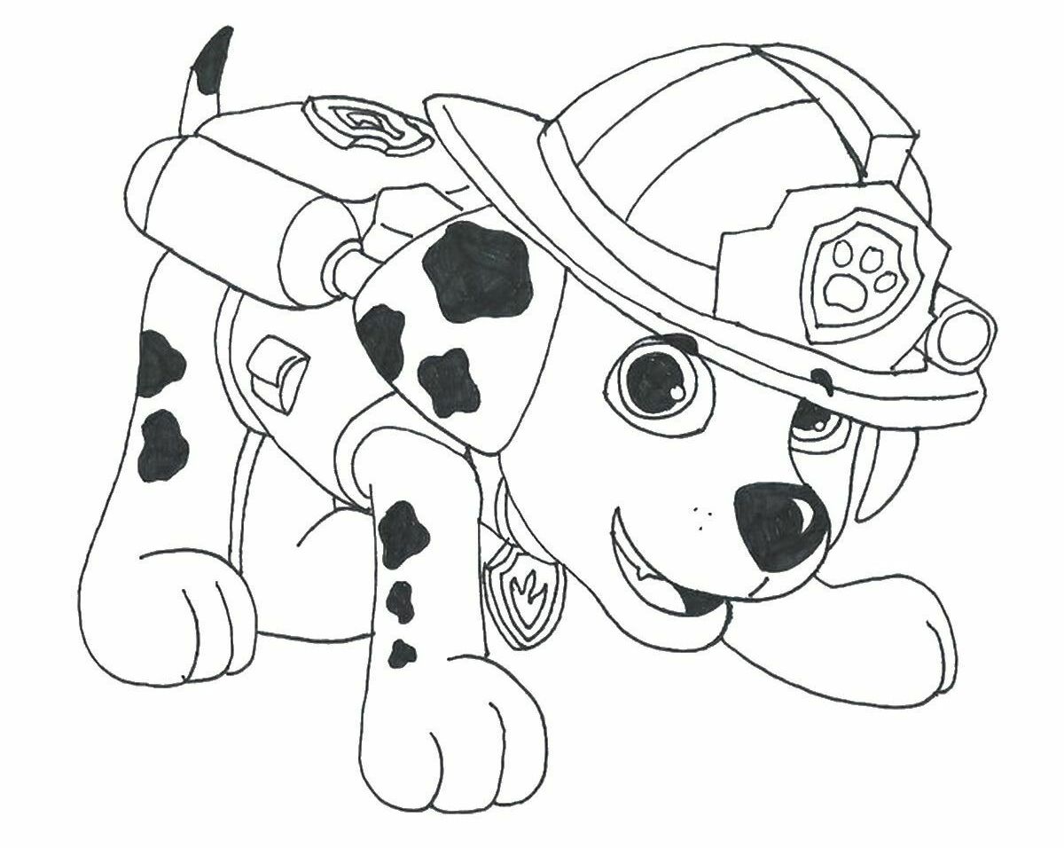 Paw Prints - Coloring Pages for Kids and for Adults