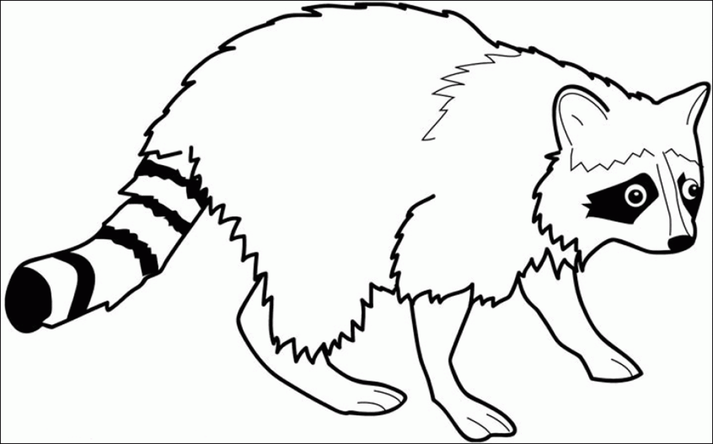 Raccoon Coloring Page - Coloring Pages for Kids and for Adults