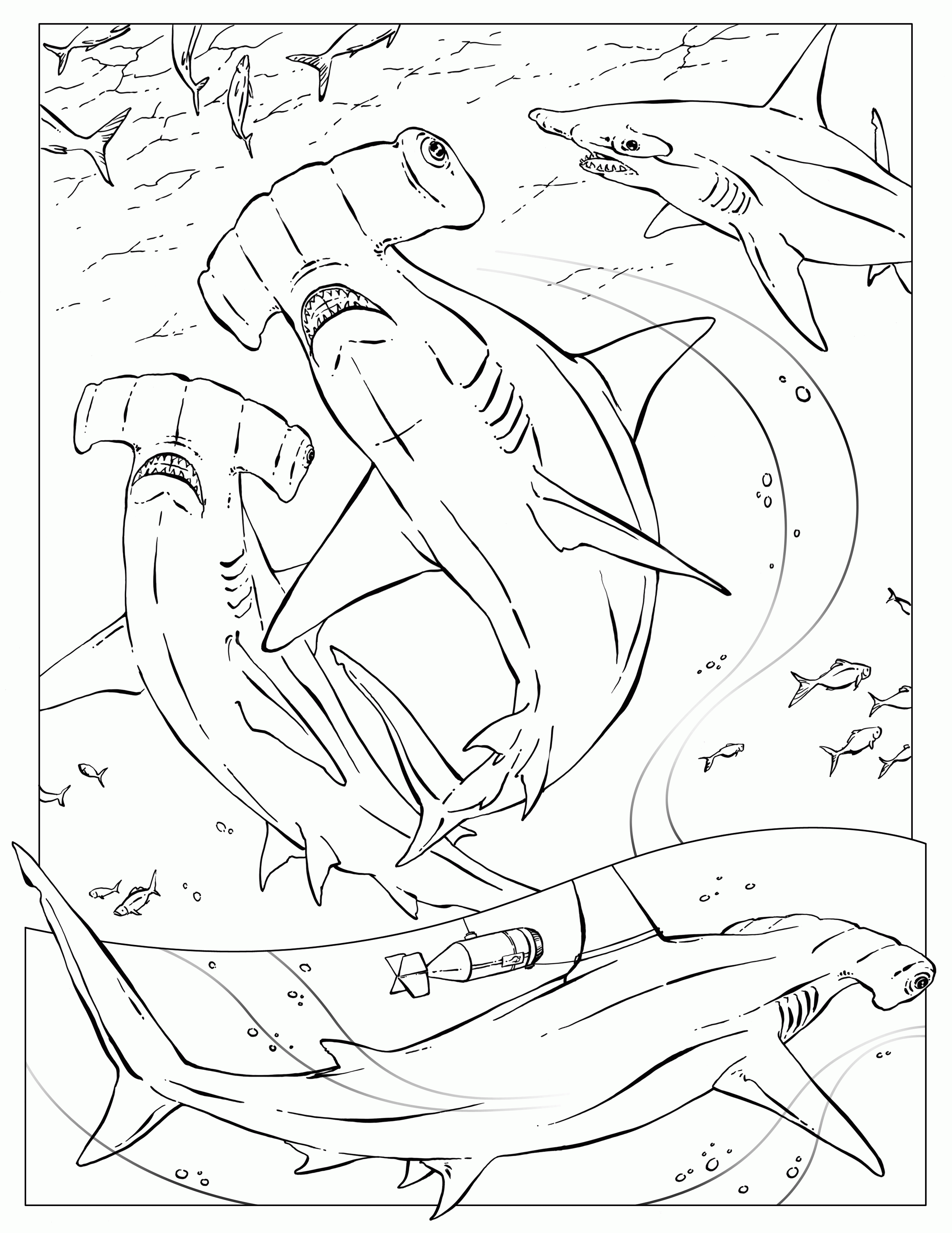 Hammerhead Shark Coloring Pages Free - Coloring Home