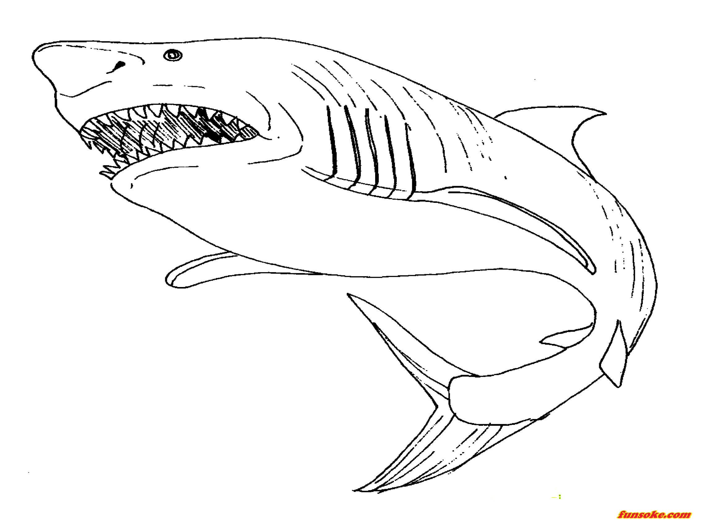 Megalodon coloring pages to print - Funsoke
