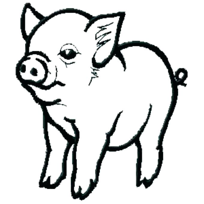 Baby Pig Cute Pig Coloring Pages - Novocom.top