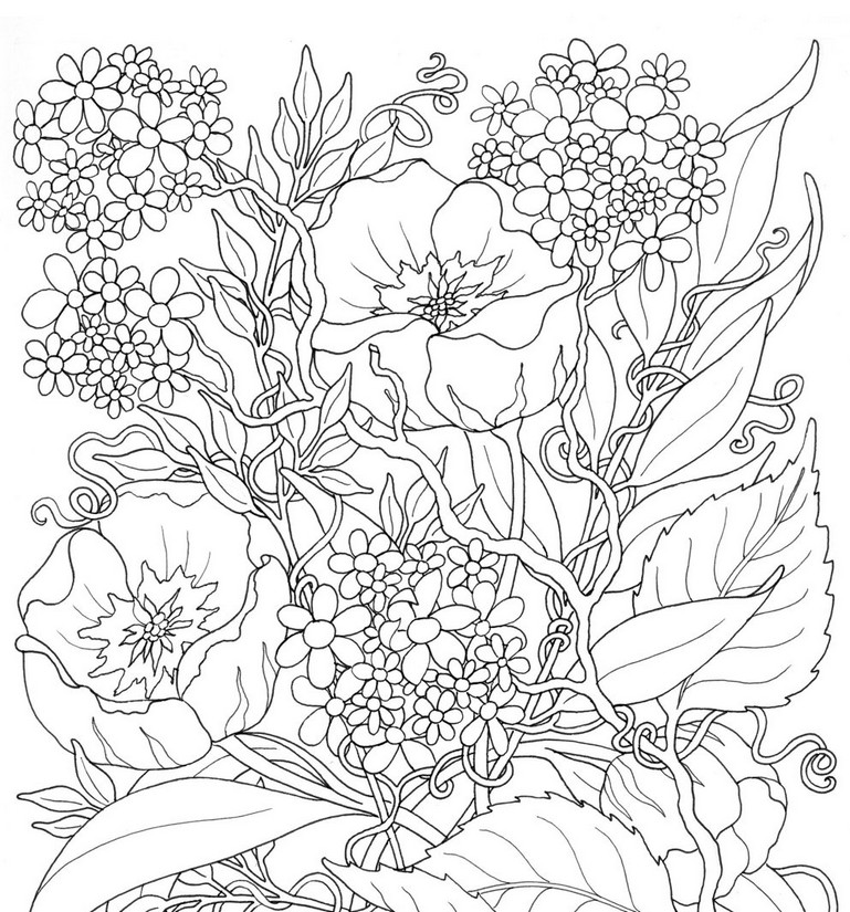 Art Therapy coloring page Summer : Flowers 3