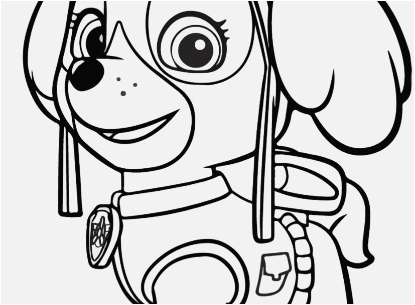 Printable Color Pages Picture Paw Patrol Skye Coloring Page ...