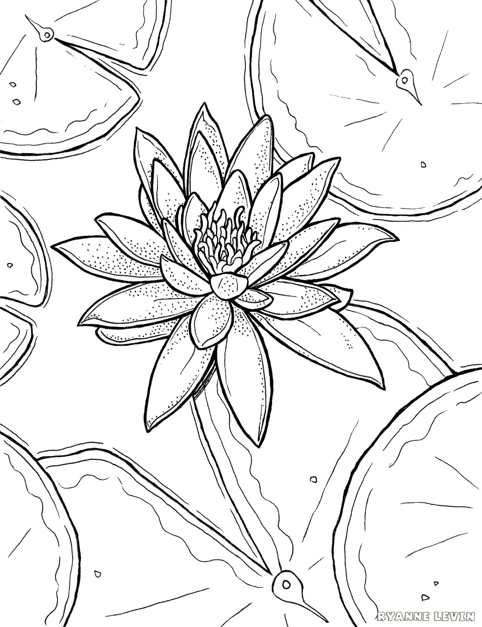 FREE Printable Water Lily Coloring Page Download – Ryanne Levin