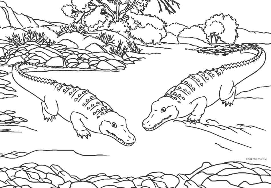 Alligators Coloring Pages - Coloring Home