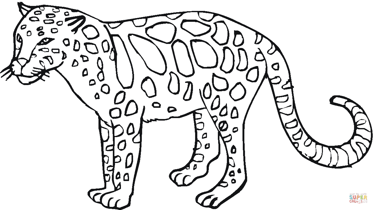 Leopard Coloring Printable Version Color 23698