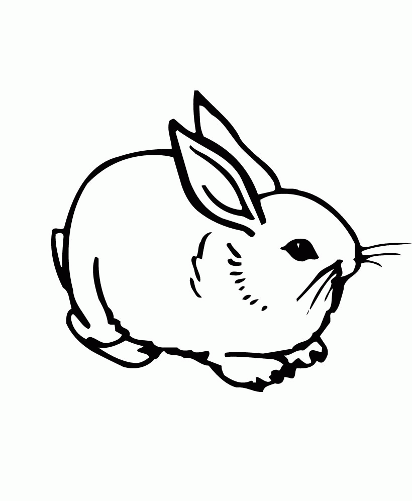 Download Pretty Coloring Pages For Kids Rabbit Or Print Pretty ...