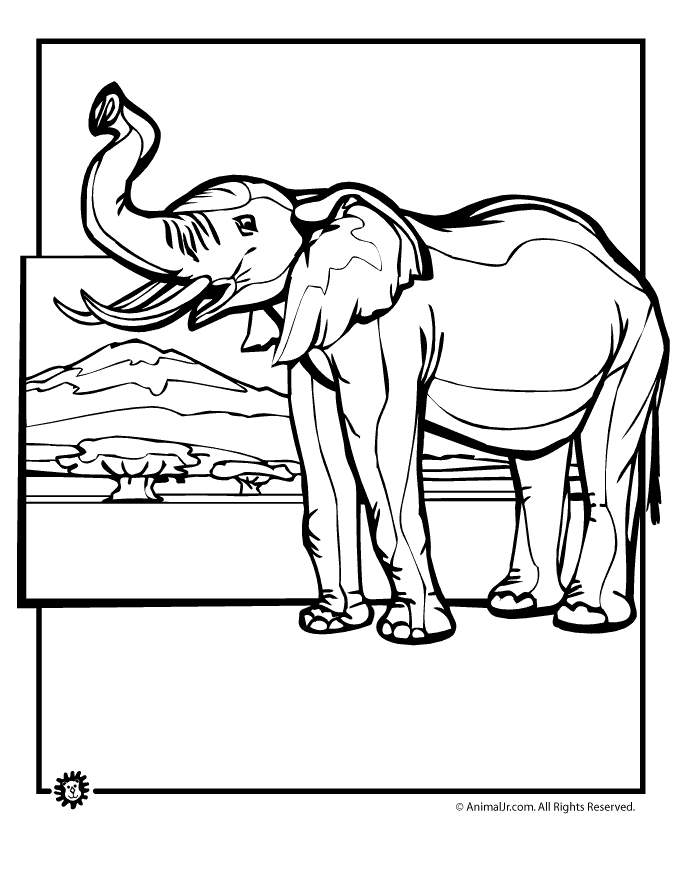 elephant coloring pages african page animal jr