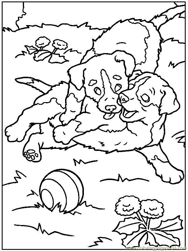 Coloring Pages 30 Dog16 (Mammals > Dogs) - free printable coloring 