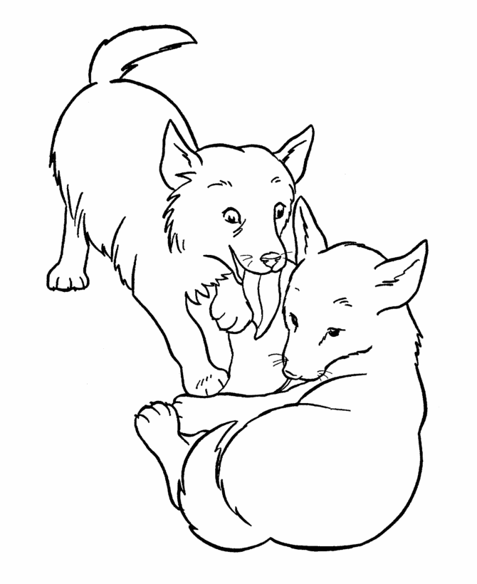 Dog Coloring Pages | Printable Licking Dogs coloring page 