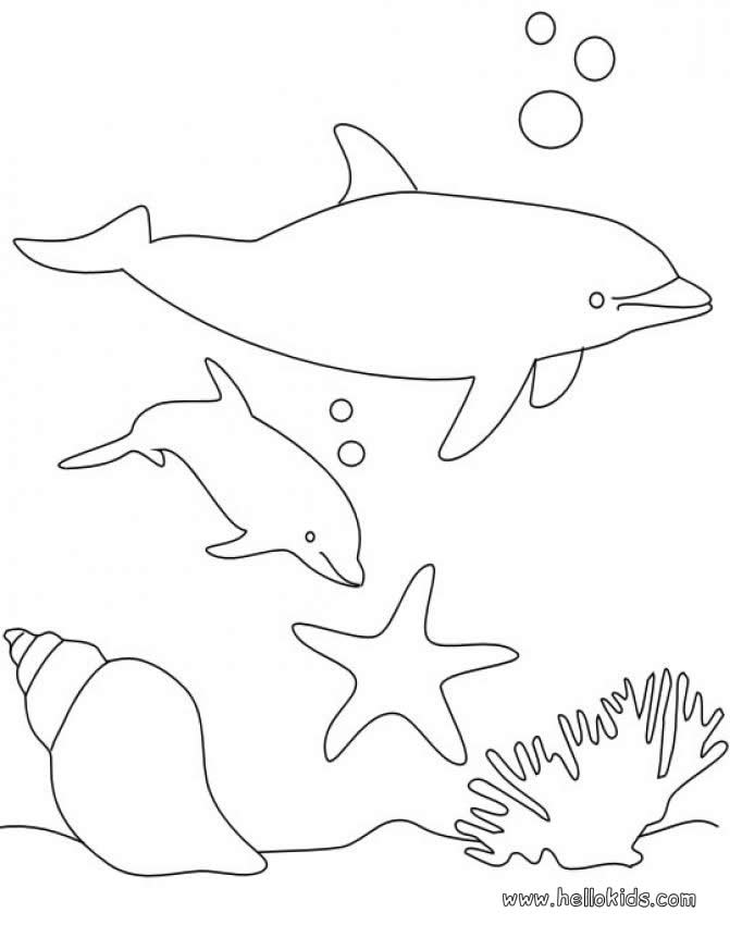 d of the blue dolphins Colouring Pages
