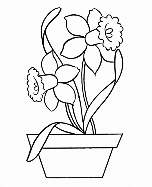 Download Daffodil Flower Coloring Page Or Print Daffodil Flower 
