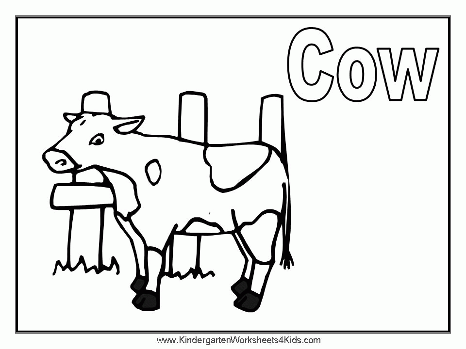 cow colouring pictures - Quoteko.