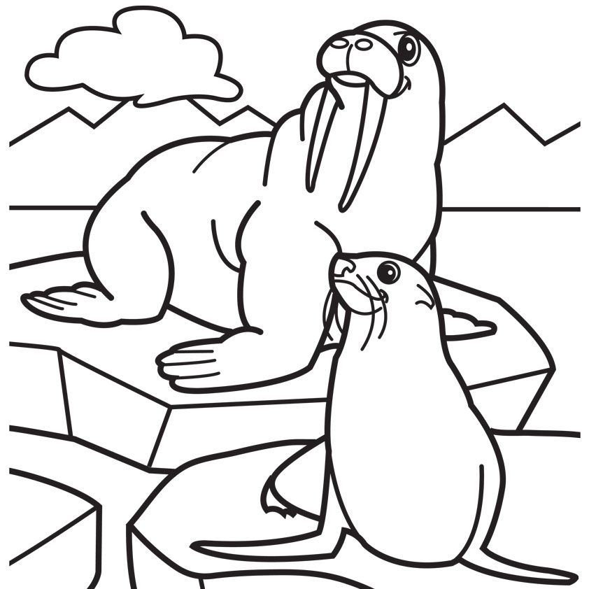 Download Walrus Coloring Pages - Coloring Home