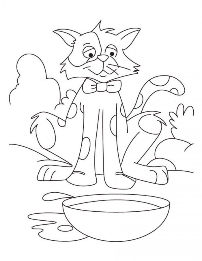 Cat Color By Number Coloring Pages