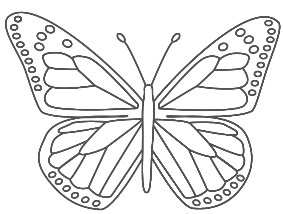 nice butterfly coloring pages for kids point