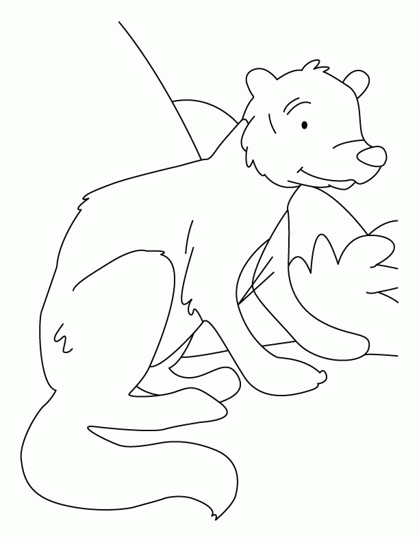 Download White Tailed Deer Coloring Pages - Coloring Home