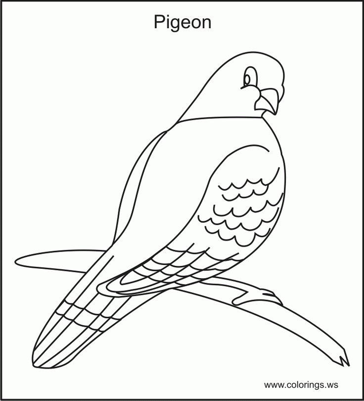 Coloring Pages That You Can Print | Coloring Book and Pictures For 