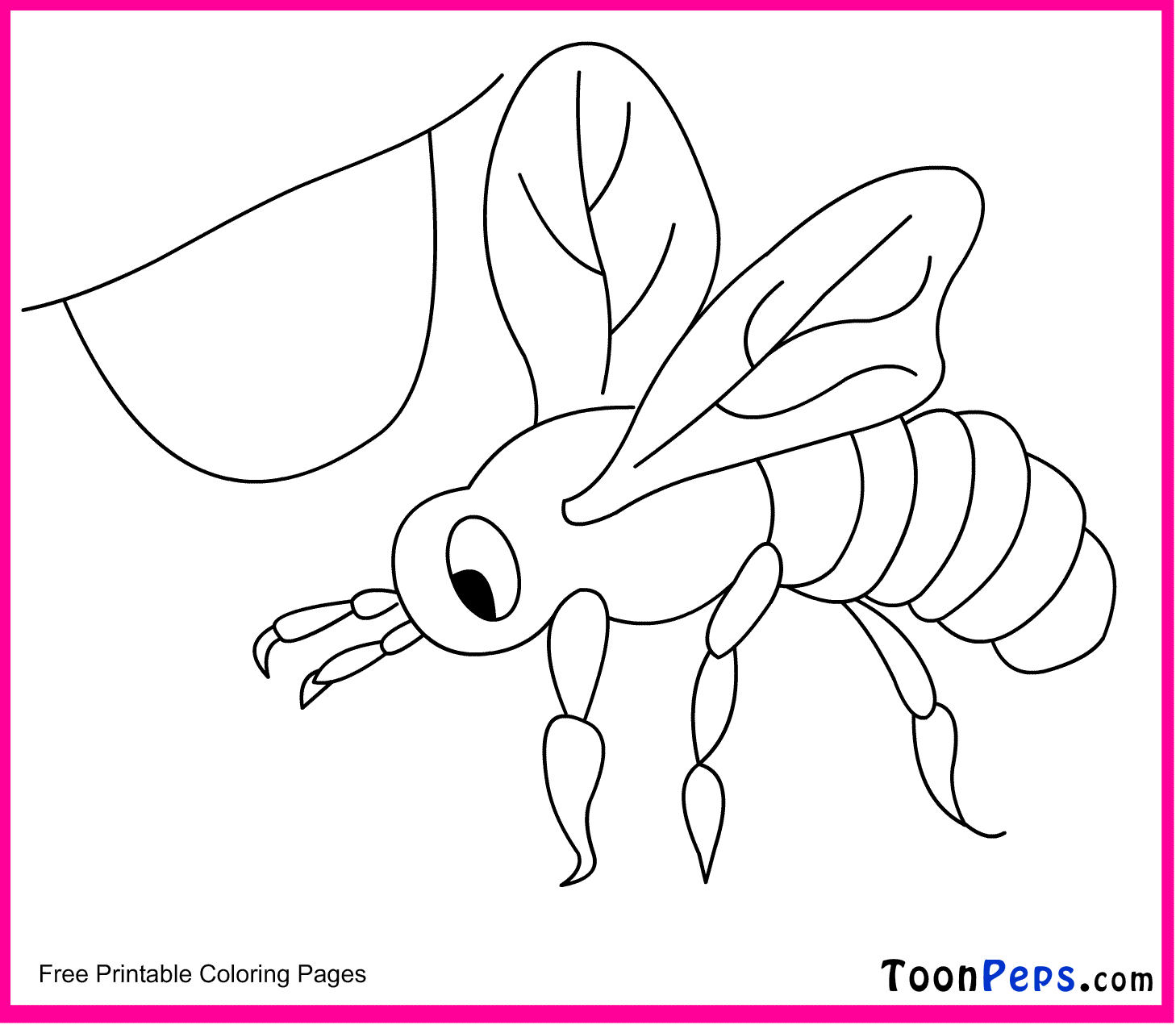 Toonpeps : Free Printable Bee coloring pages for kids