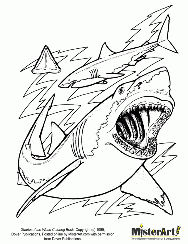 Ancient Egypt Coloring Pages For Kids Great White Shark Coloring 