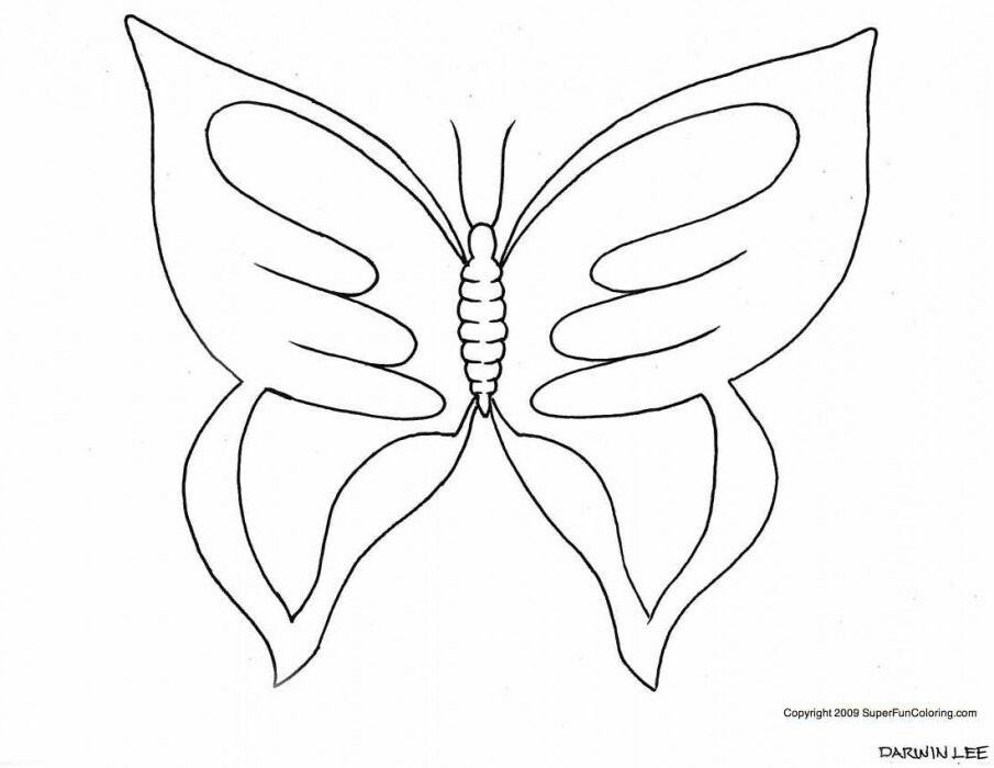 Butterfly Coloring Pages To Print Out