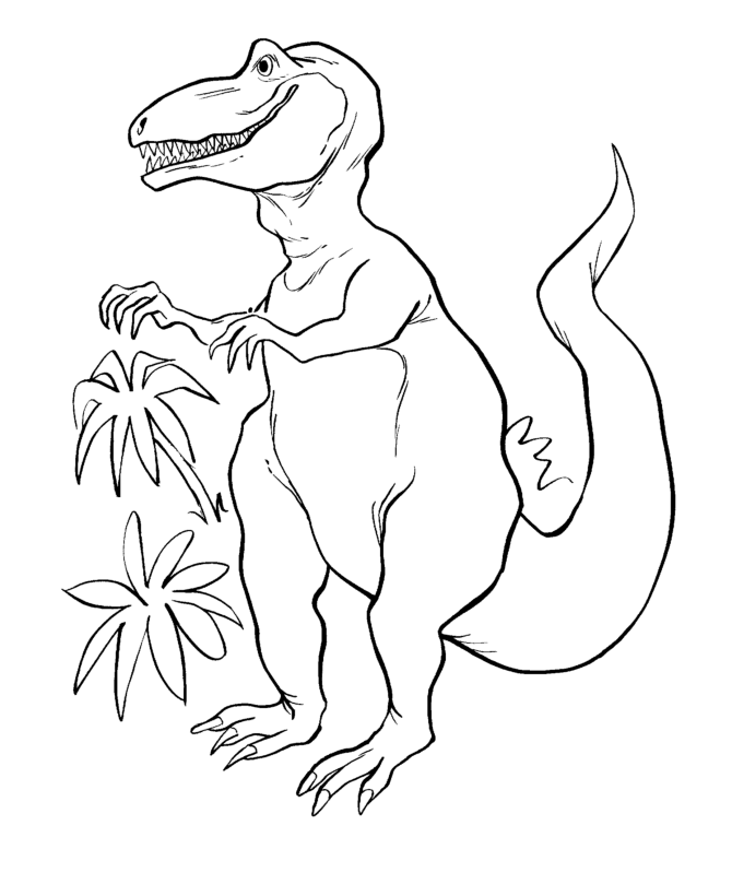 Tyrannosaurus T Rex Dinosaur Coloring Page