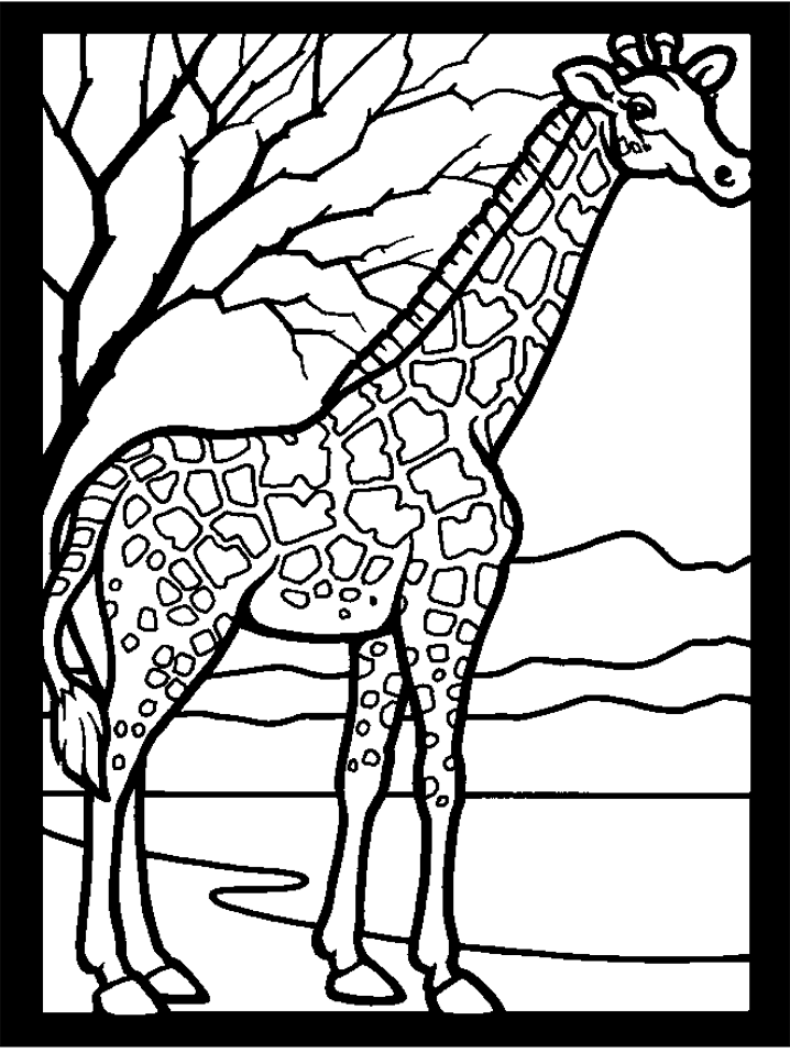 Giraffe Coloring Pages 5