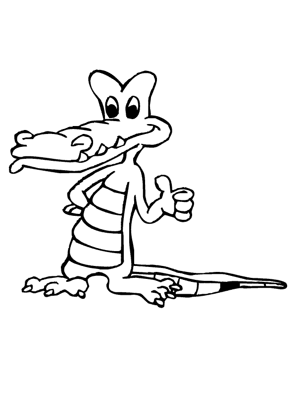 florida gator Colouring Pages