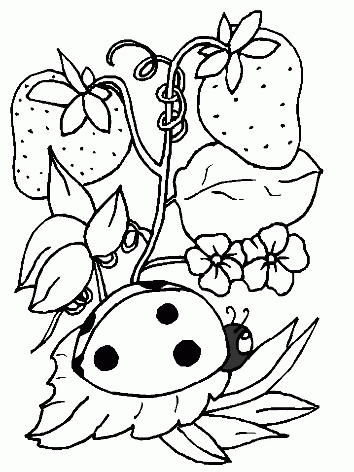 ladybird making Colouring Pages (page 2)
