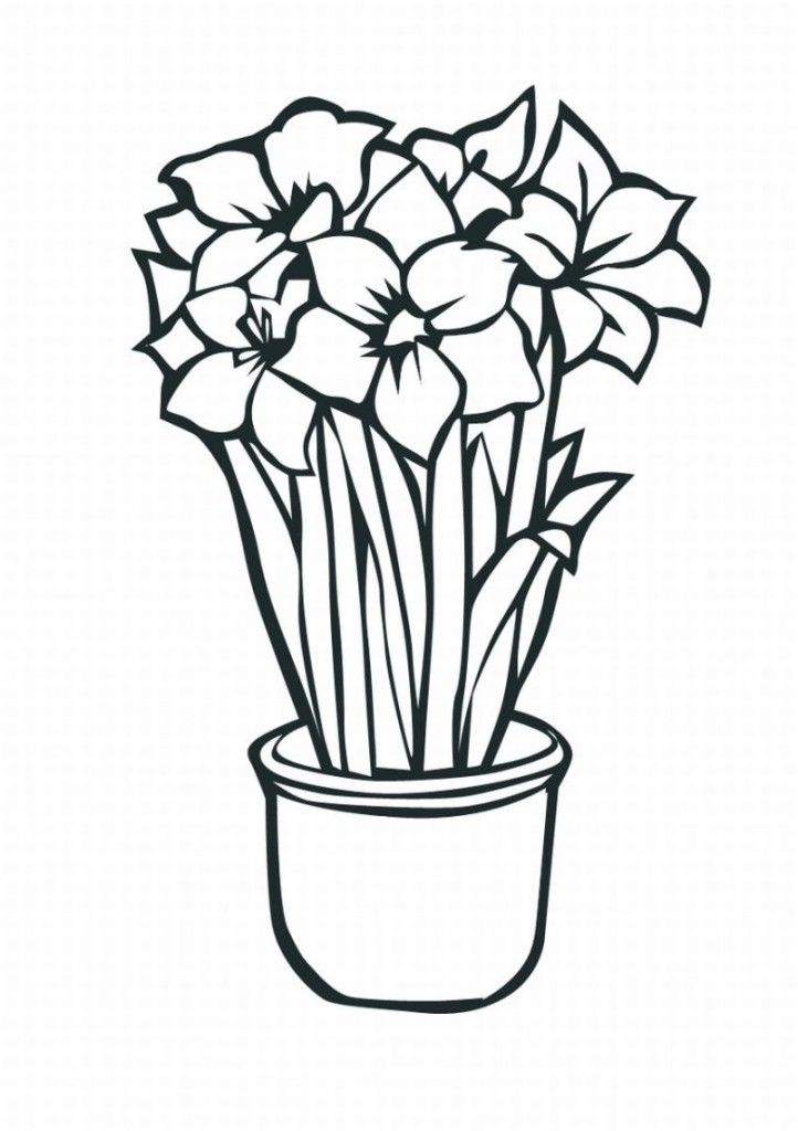 Funny Tropical Flower Coloring Pages Lrg Top Resolutions 