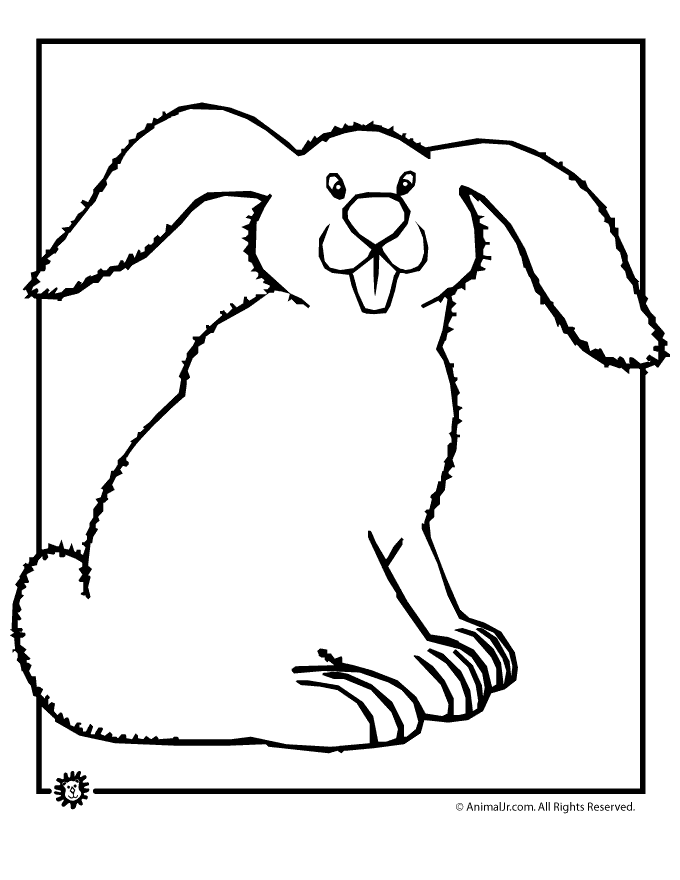 bunny coloring pages cute page classroom jr
